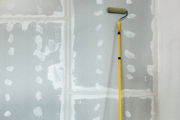 Professional Drywall & Painting Services in El Macero, CA